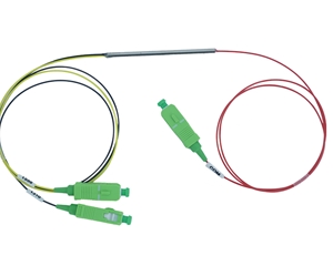 ���֏�(f��)����CWDM